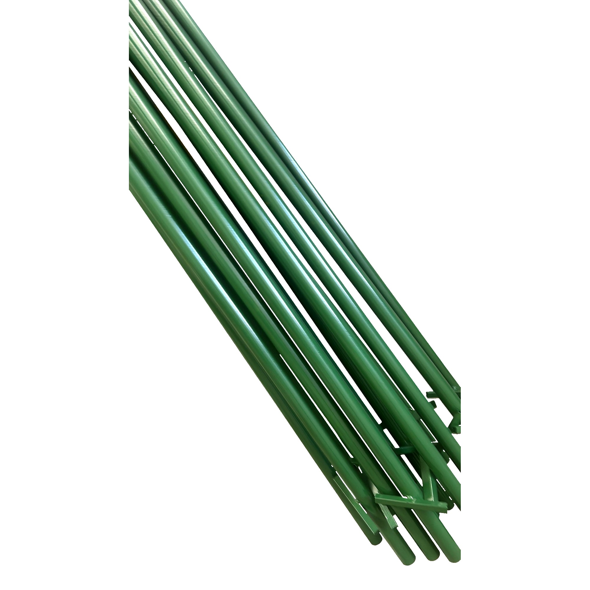 Chapa pintada